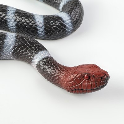 Фигурка игровая Sima-Land Змея. Уж / 10460441