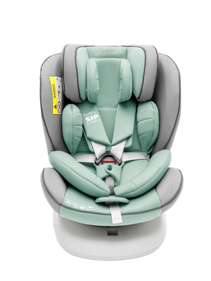 Автокресло Amarobaby Champion Isofix / AMARO-2008CH-Se/Bi - фото