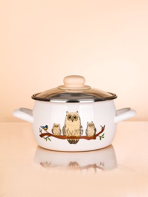Кастрюля ЭСТЕТ Совы / ЭТ-72993