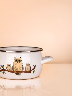 Кастрюля ЭСТЕТ Совы / ЭТ-72993