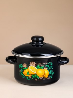 Кастрюля ЭСТЕТ Цитрус / ЭТ-75025