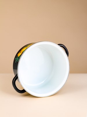 Кастрюля ЭСТЕТ Цитрус / ЭТ-75025