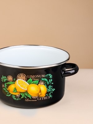 Кастрюля ЭСТЕТ Цитрус / ЭТ-75025