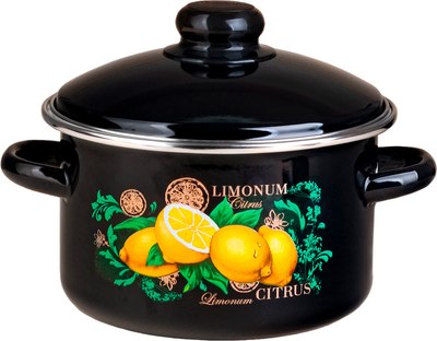 Кастрюля ЭСТЕТ Цитрус / ЭТ-75026 - фото