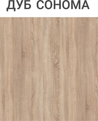 Обеденный стол СВД Юнио 100x60 / 023.Д2.Х