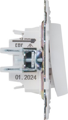 Выключатель IEK Skandy SK-V13-0-10-K01