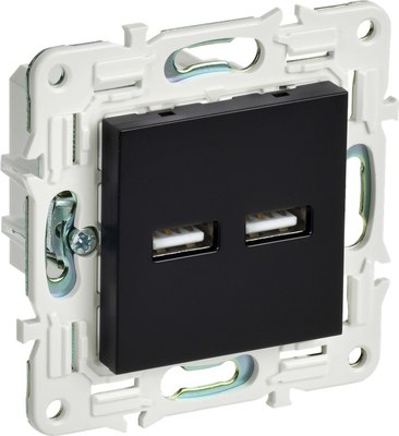 Розетка IEK Skandy SK-U21-D31-K02 - фото