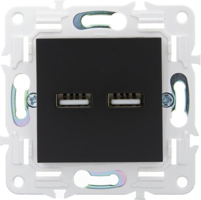 Розетка IEK Skandy SK-U21-D31-K02