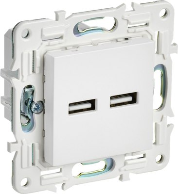 Розетка IEK Skandy SK-U21-D31-K01 - фото