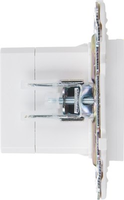 Розетка IEK Skandy SK-U21-D31-K01