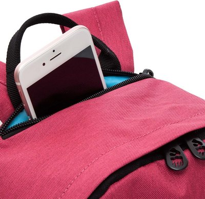 Рюкзак Grizzly RXL-423-2