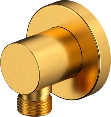 Подключение для душевого шланга Whitecross Y1008GLB - фото