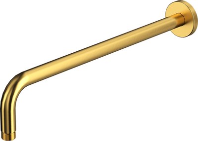 Душевой кронштейн Whitecross Y1310GLB - фото