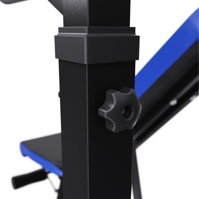 Скамья для жима штанги DFC Pro Fitness JD0784