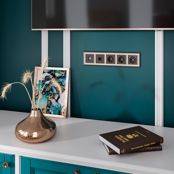 Лицевая панель Werkel W1193012