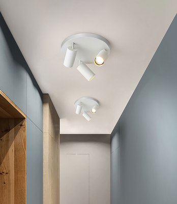 Спот Feron ML203-1 / 41923