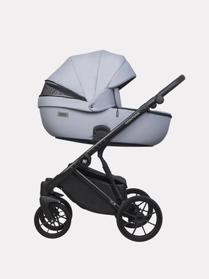 Детская универсальная коляска Riko Montana Ecco 2 в 1