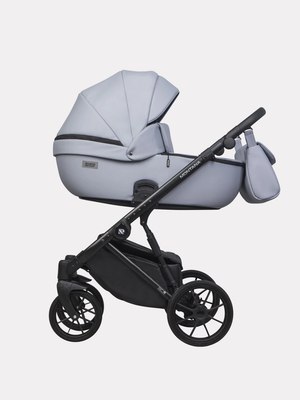 Детская универсальная коляска Riko Montana Ecco 2 в 1