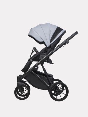 Детская универсальная коляска Riko Montana Ecco 2 в 1