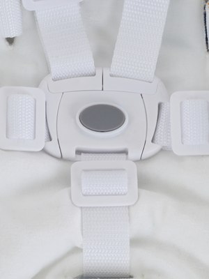 Стульчик для кормления Rant Cream / RH302 (Аquamarine)