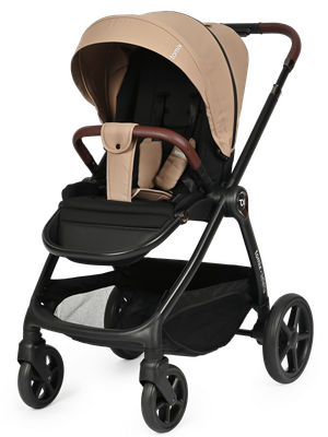 Детская универсальная коляска Tomix Selena 2 в 1 / P02