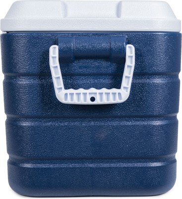 Термоконтейнер Camping World Thermobox 40 / 138365