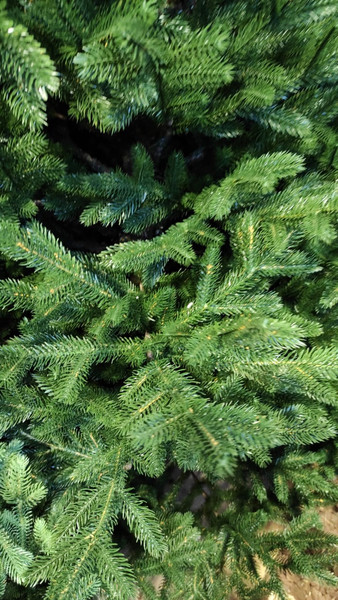 Ель искусственная GreenTerra Сапфир