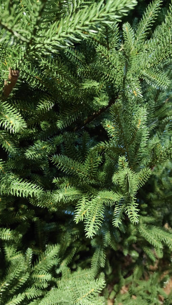 Ель искусственная GreenTerra Синдерелла