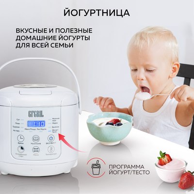 Мультиварка GFGRIL GFM-200