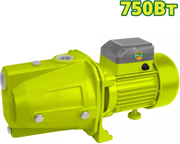 Поверхностный насос DYLLU Самовсасывающий DTWPJA03