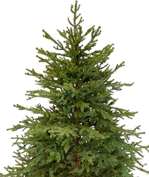 Ель искусственная GreenTerra Вилтони