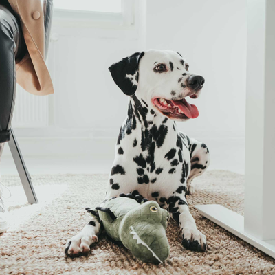 Игрушка для собак HUNTER Tough Alligator / 66550