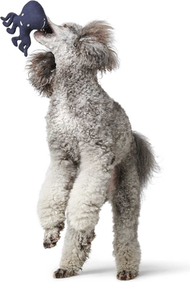 Игрушка для собак HUNTER Skagen Octopus / 69002