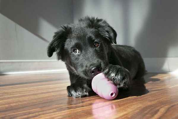 Игрушка для собак KONG Puppy L / 41945