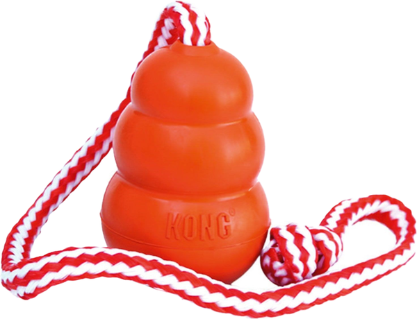 Игрушка для собак KONG Aqua with rope L / 41947 - фото