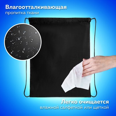 Мешок для обуви Пифагор 271618