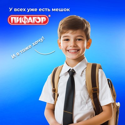 Мешок для обуви Пифагор 271618