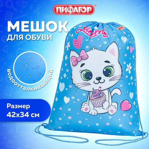 Мешок для обуви Пифагор Yummy Cupcake / 271603