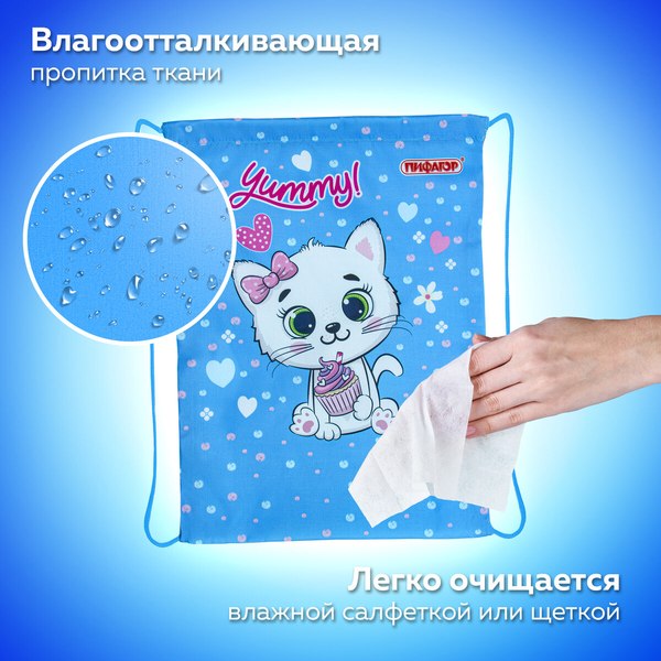 Мешок для обуви Пифагор Yummy Cupcake / 271603