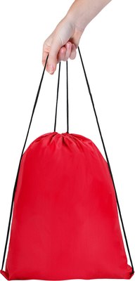 Мешок для обуви Пифагор 271616