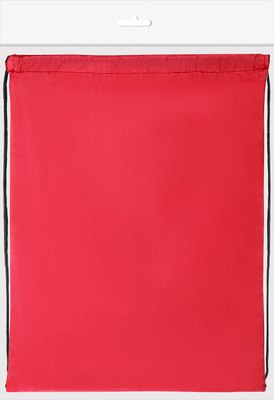 Мешок для обуви Пифагор 271616