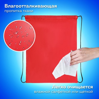 Мешок для обуви Пифагор 271616