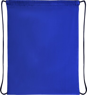 Мешок для обуви Пифагор 271617