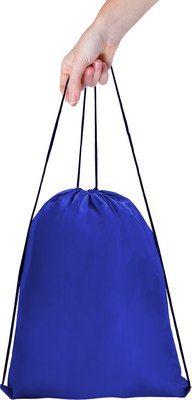 Мешок для обуви Пифагор 271617