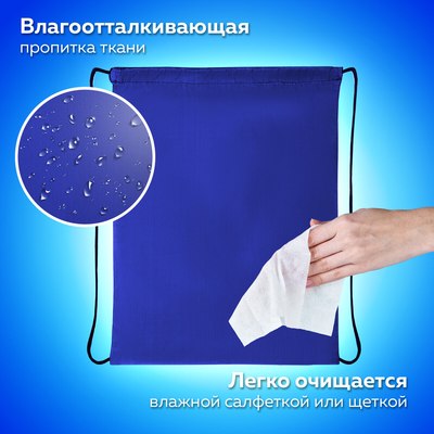 Мешок для обуви Пифагор 271617