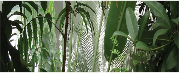 Шторка под ванну JoyArty 60x150 / bt_11422 - фото