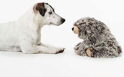 Игрушка для собак HUNTER Faro Bear / 67448