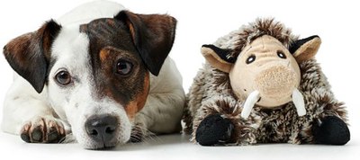 Игрушка для собак HUNTER Faro Pig / 67449