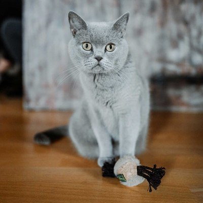 Игрушка для кошек HUNTER Moa Ball / 67736