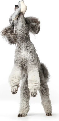 Игрушка для собак HUNTER Skagen Seal M / 69003